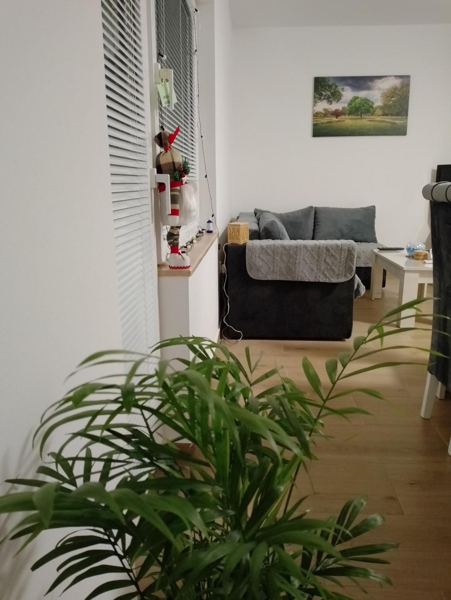 Apartman Dve Lipe Палич Екстер'єр фото